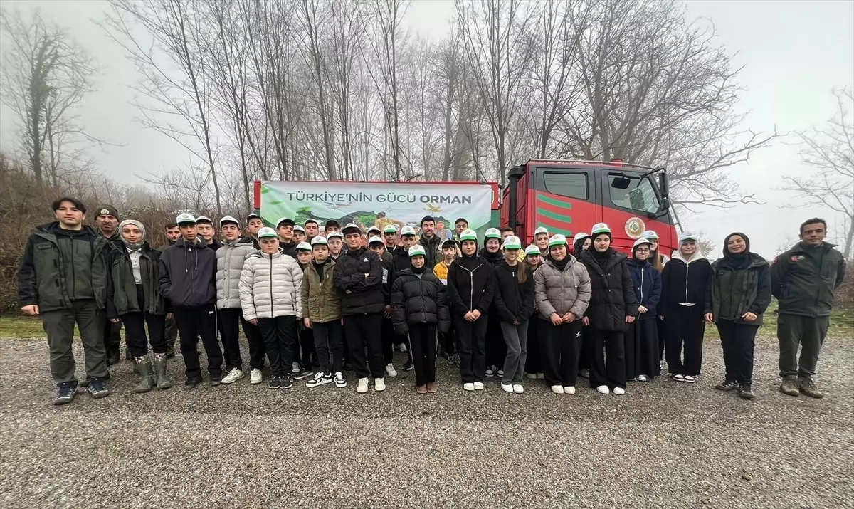 Türkeli’de Orman Haftası’nı Kutlayan Fidan Dikim Etkinliği Binlerce Katılımcıyı Buluştu