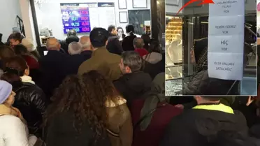 Altın birikimi grafiği