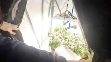 Operasyon sonrası elde edilen uyuşturucu maddeler