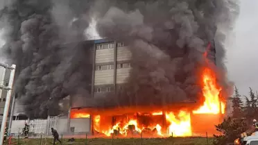 Arsin fındık fabrikasında çıkan yangın