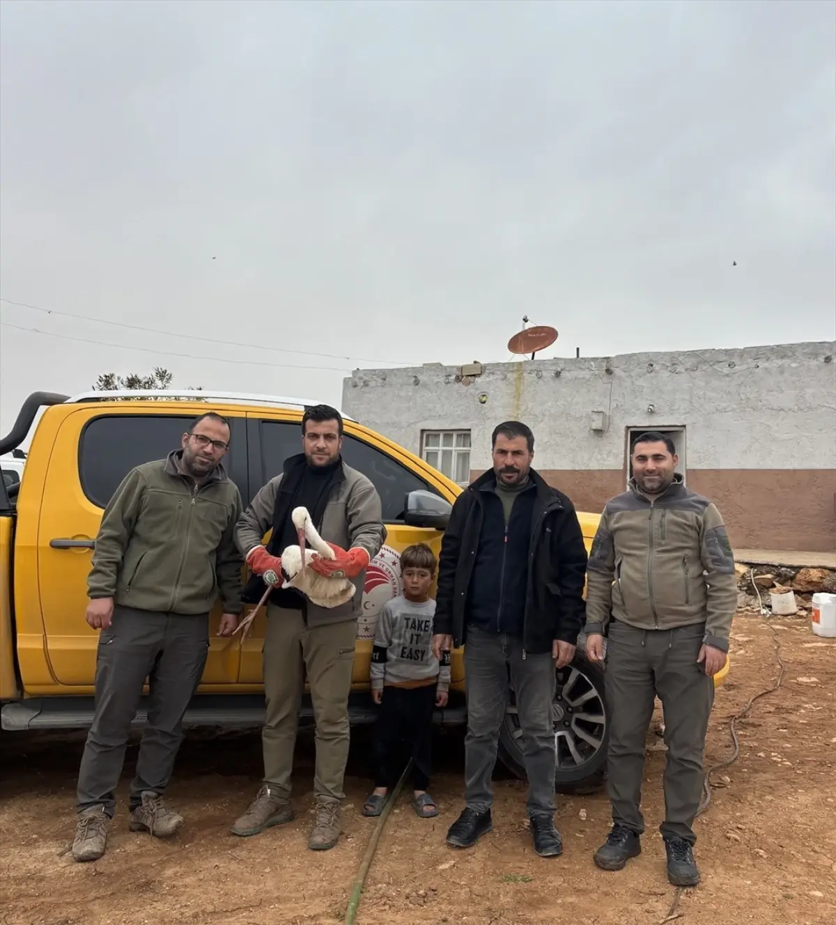 Şanlıurfa’da Yaralı Leylek Kurtarıldı: Doğa Koruma Ekiplerinin Başarılı Müdahalesi