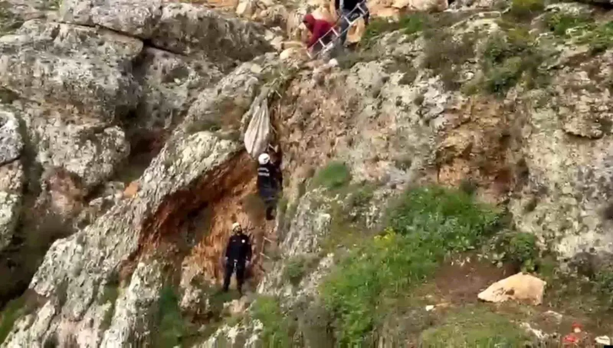 Şanlıurfa’da Kahraman İtfaiye Ekipleri Uçurumdan Düşen Köpeği 4 Saatte Kurtardı