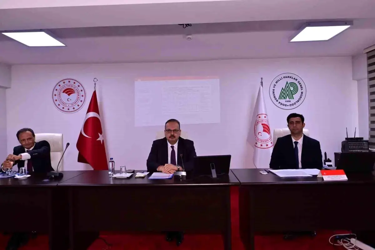 Aydın Valisi Önderliğinde Sahipsiz Hayvanlar İçin Yeni Önlemler Belirlendi