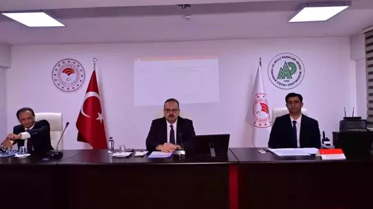 Toplantı sırasında sunulan sahipsiz hayvan barınağı planı