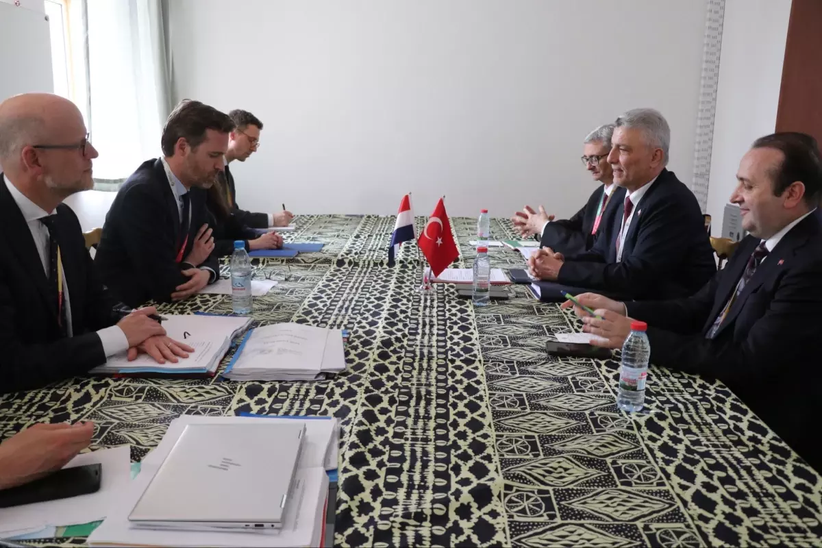 Türkiye ve Hollanda arasında ticaret işbirliği Kamerun’da güçlendi