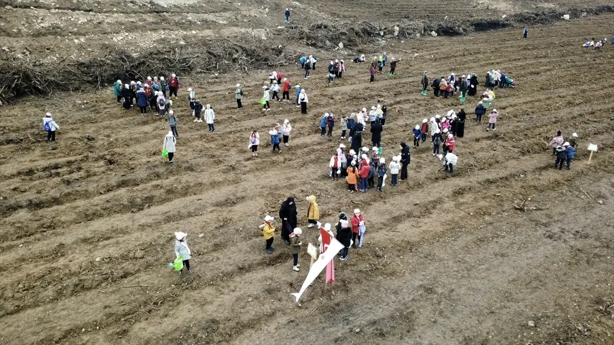 Karabük Orman Yangını Etkilenen Bölgeye 2.026 Yeni Fidan Dikildi