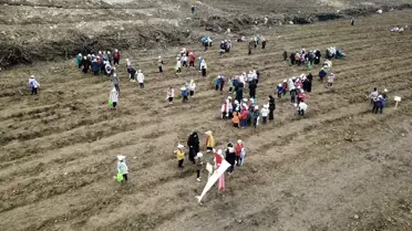 Karabük Orman Yangını Etkilenen Bölgeye 2.026 Yeni Fidan Dikildi