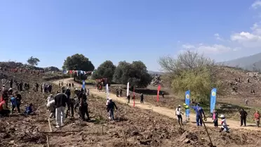 Milas’ta Orman Yangınlarına Karşı Fidan Dikim Etkinliği Gerçekleşti