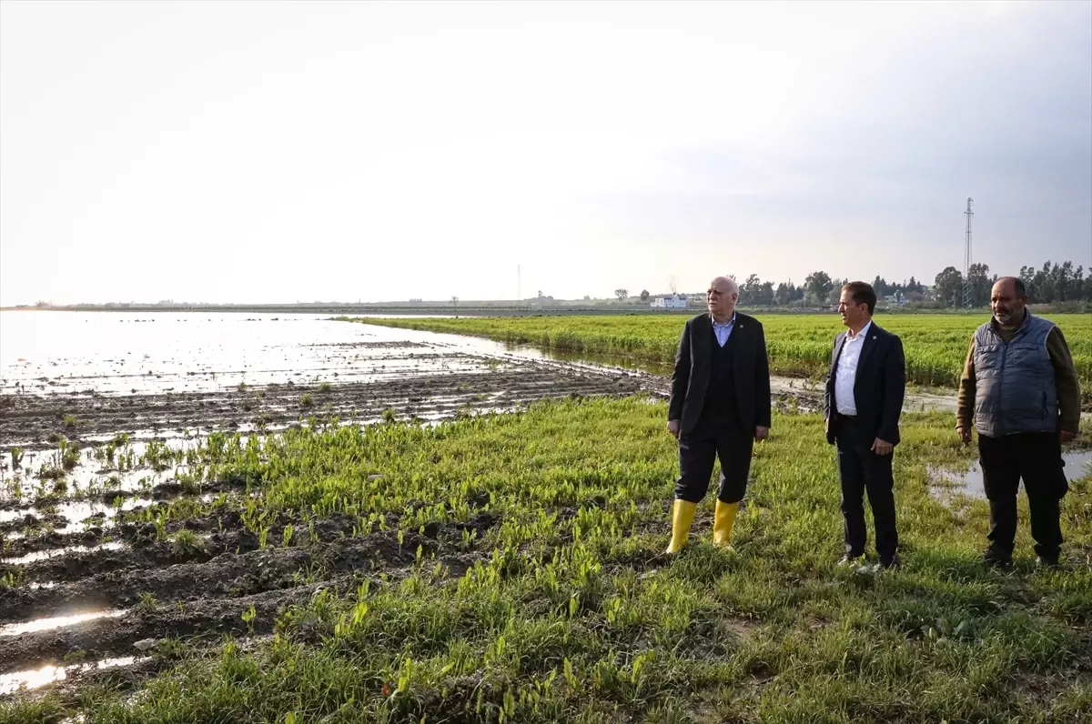 Adana’da Şiddetli Yağış Tarım Alanlarını Sarsıyor