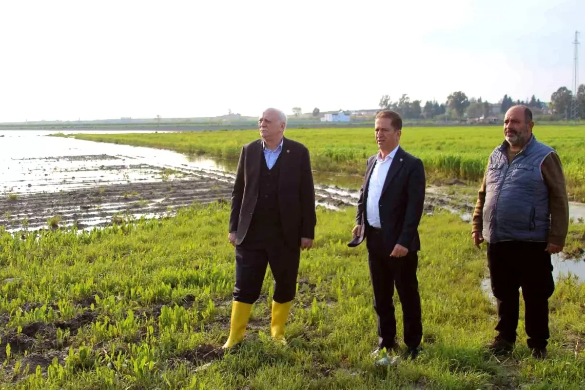 Adana’da Sel Felaketi 36.000 Dekar Tarım Alanını Sular Altına Çekti