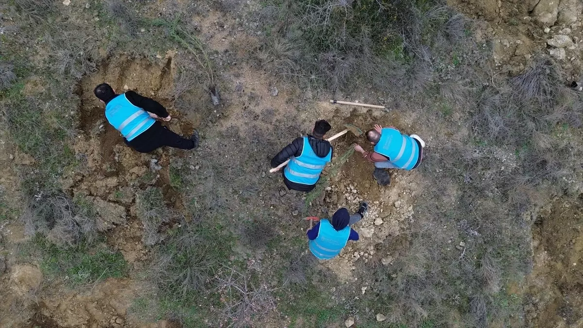Bilecik’te Şeyh Edebali’yi Anma Etkinliği: 700 Selvi Fidanı Dikti