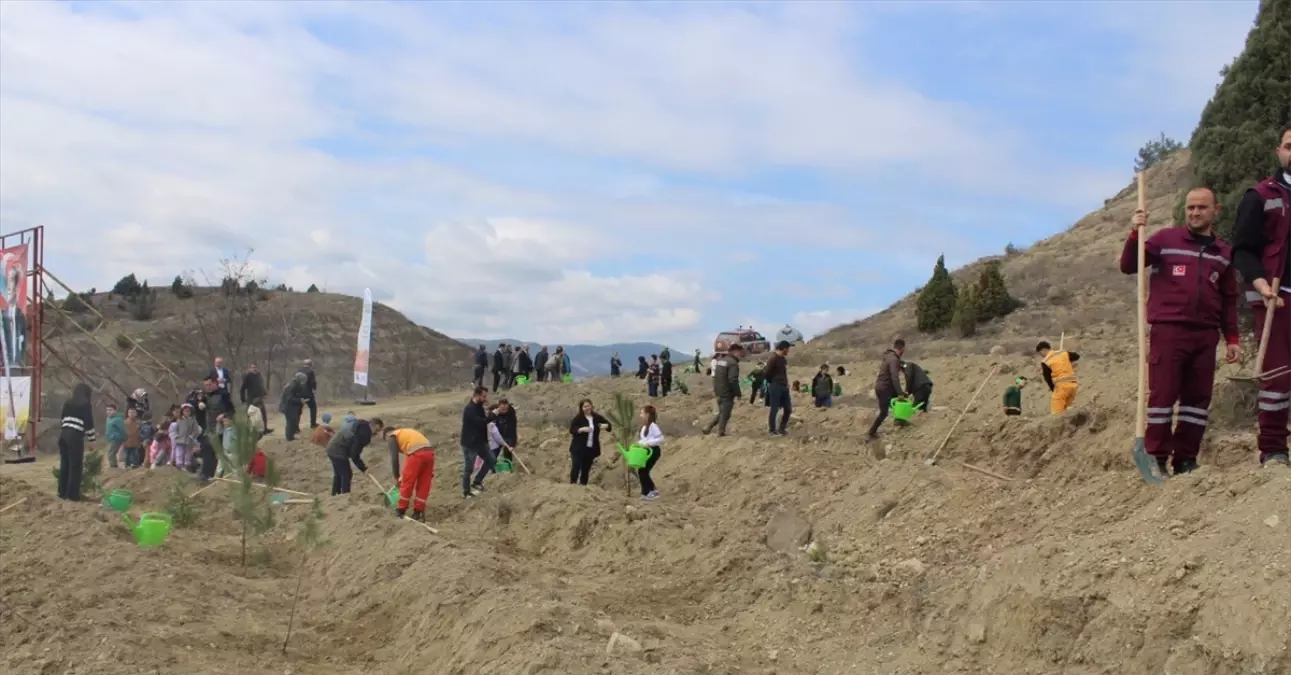 Boyabat’ta Orman Haftası Kutlamaları: Yüzlerce Fidan Toprağa Bırakıldı