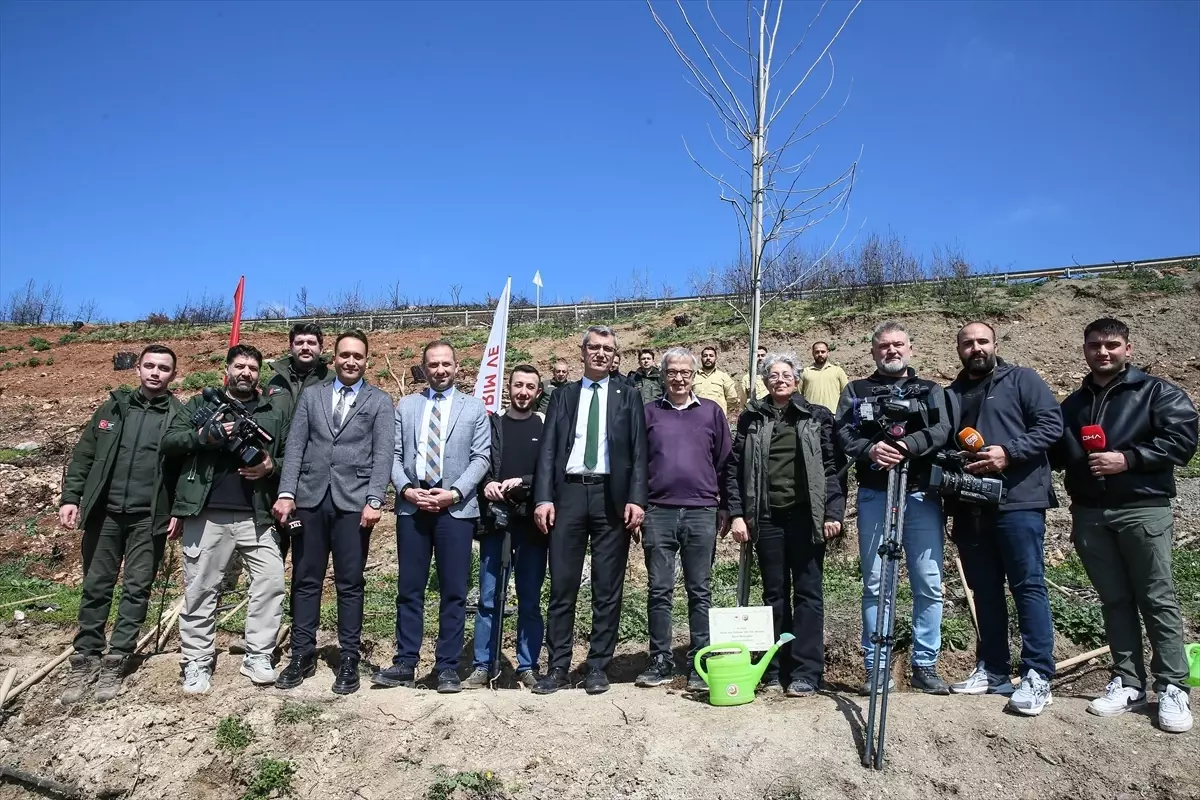 Bursa Gürsu’da Yangın Sonrası Yeşil Alanları Canlandırma Çabaları