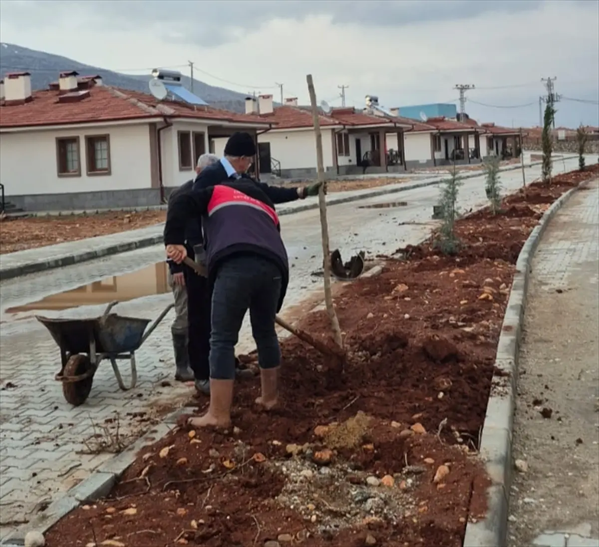 Polat Mahallesi'nde Yeşil Alanlar Yeniden Canlanıyor: Ağaçlandırma ve Peyzaj Çalışmaları Sürüyor