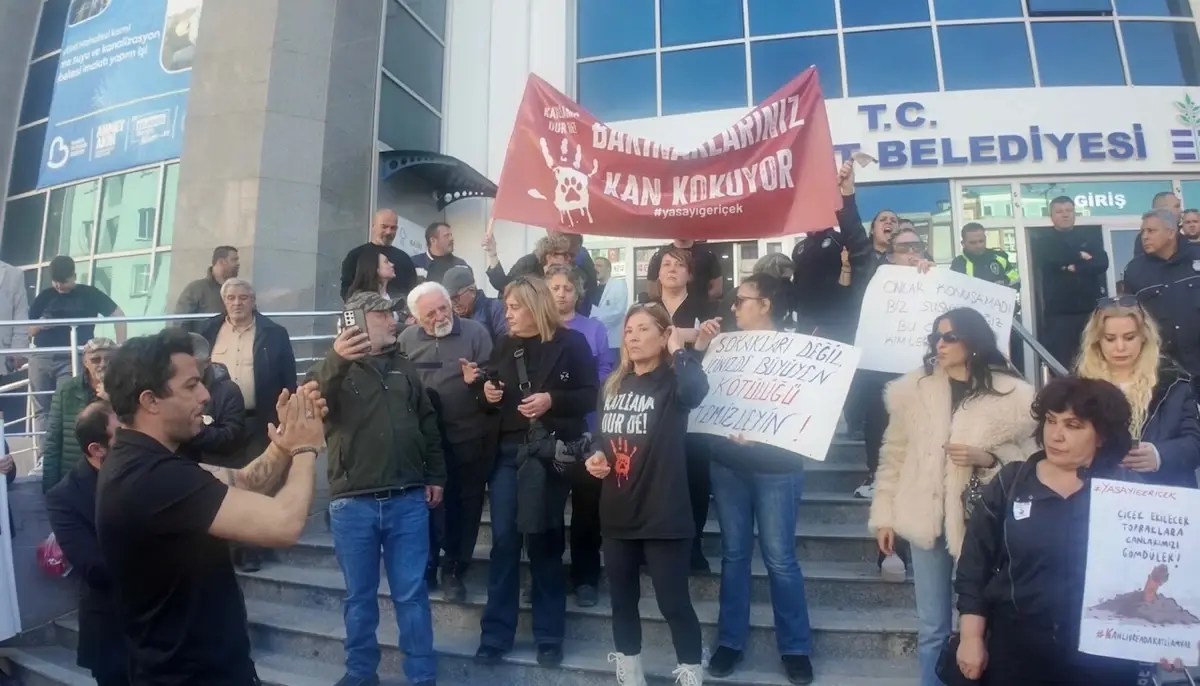 Erdemit’te Hayvanseverler Sokak Köpeklerinin Ölümünü Dile Getirdi