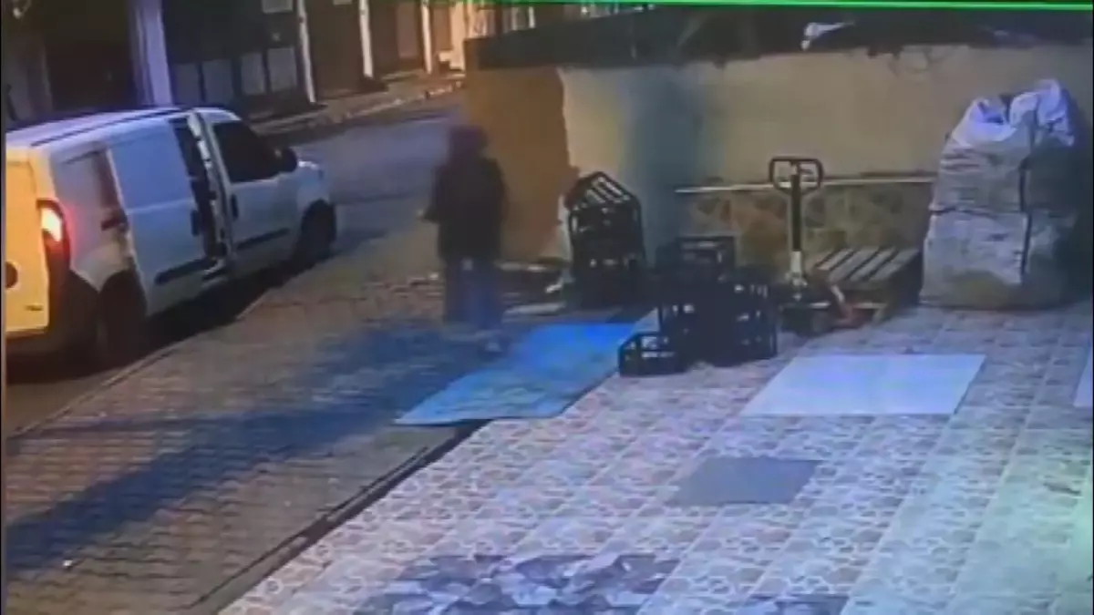 İstanbul'un Gaziosmanpaşa ve Sultangazi Semtlerinde Güvenlik Kameraları Hırsızlık Girişimlerini Belgeledi