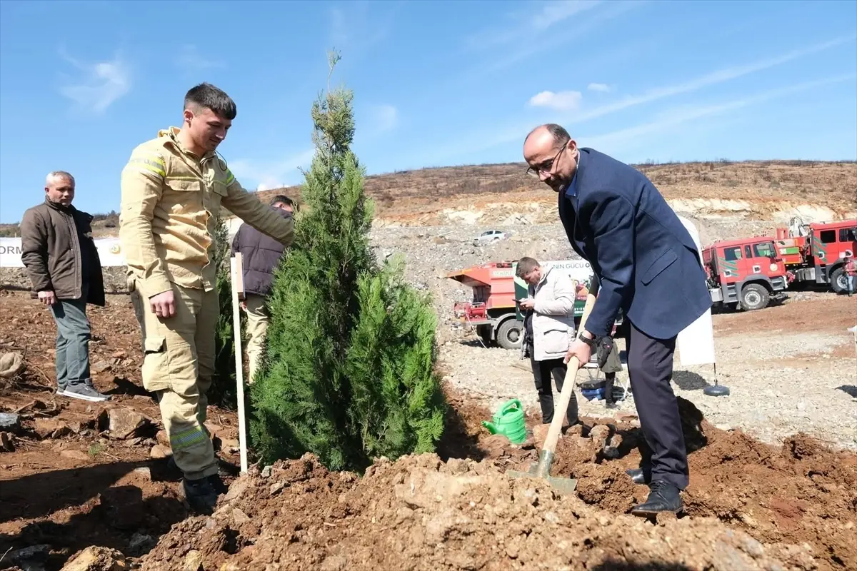 Orhaneli'de Orman Haftası'na Özel Binlerce Fidan Dikildi