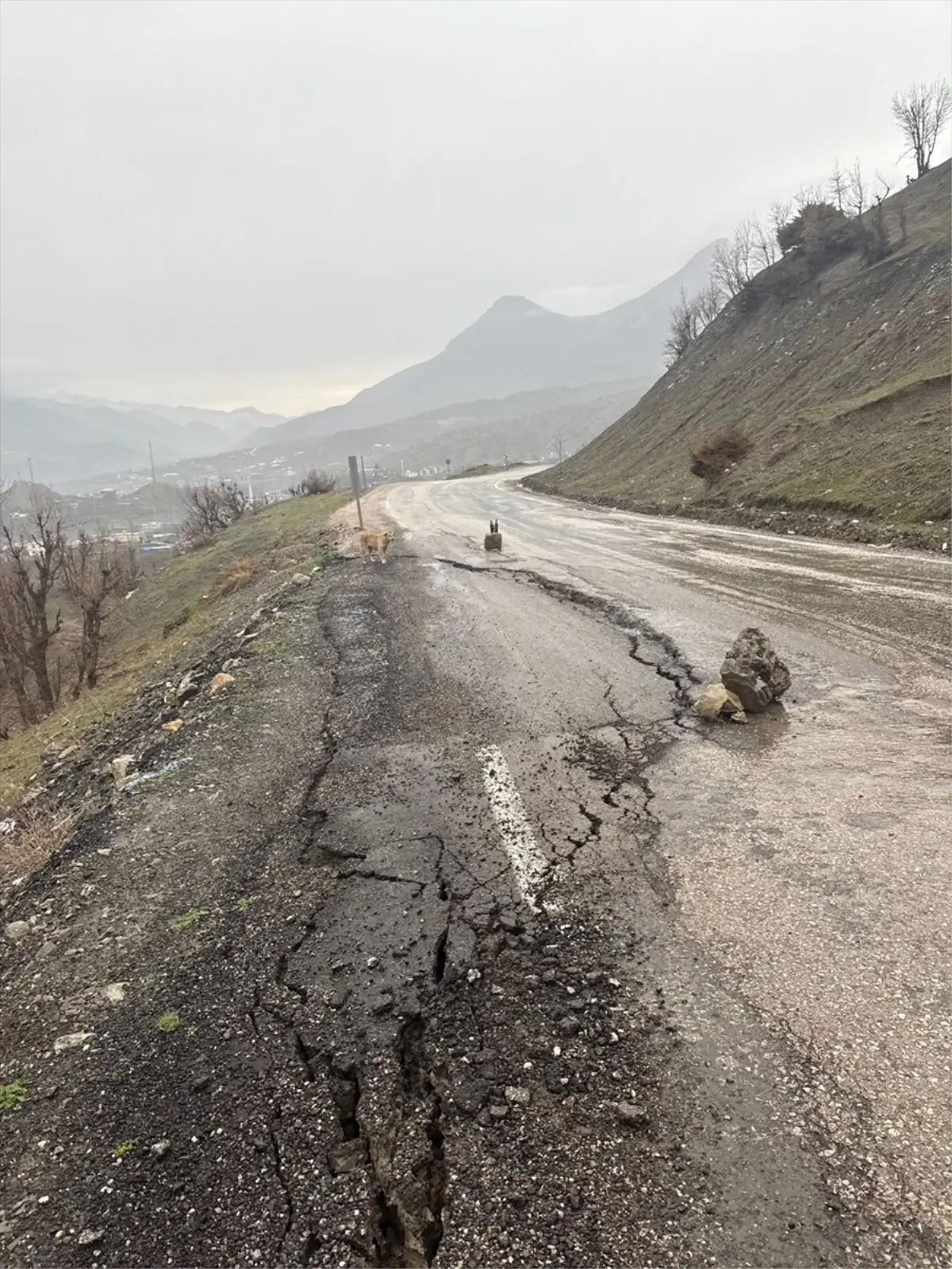 Şenoba'da Şiddetli Yağış Sonrası Yol Çöktü: Onarım Çalışmaları Başladı