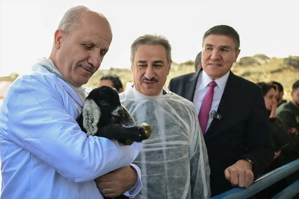 YÖK Başkanı Özvar, MAKÜ Kampüsünde Hayvancılık ve Üniversite Farklılaşması Üzerine Bilgilendirme Yaptı