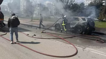 Alevler içinde otomobil ve kedisi