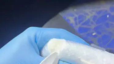 Ele geçirilen uyuşturucu ve sentetik ecza örnekleri