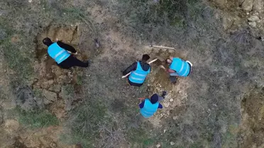 Dikilen selvi fidanlarının yakın çekim fotoğrafı