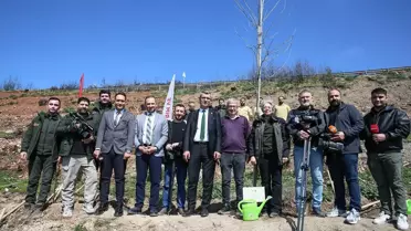 Fidan dikimi sırasında çekilmiş fotoğraf