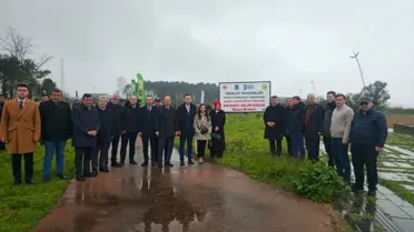 Dikilen fidanların yakından görüntüsü