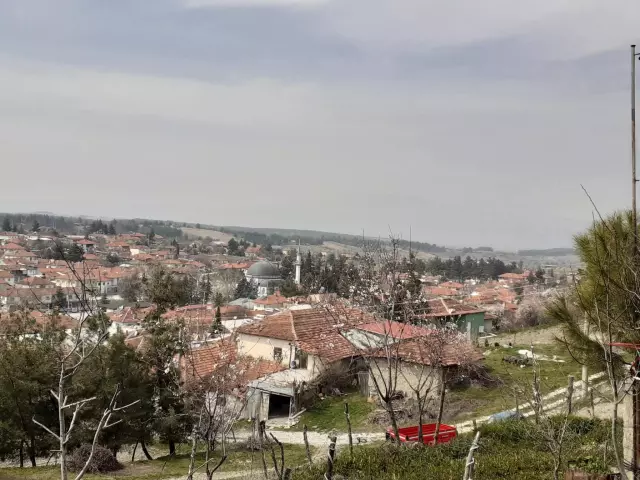 Fosilin kazı alanı
