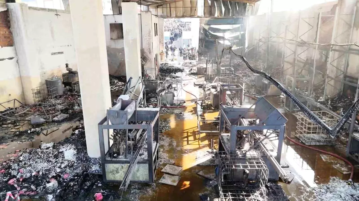 Dilovası Fabrika Yangını: Tanıkların Anlatımları ve Kurtarma Çabaları