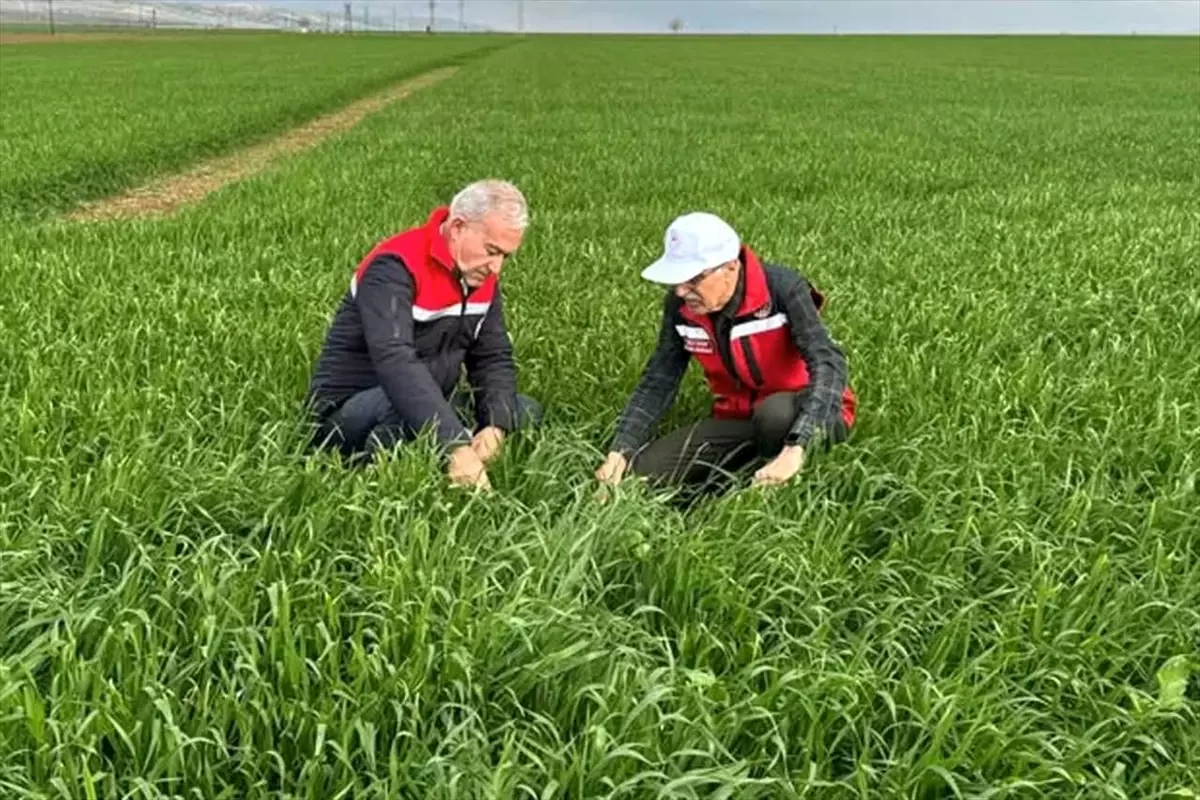 Araban’da Yağışların Tarım Alanlarına Etkisi Derinlemesine İnceleniyor