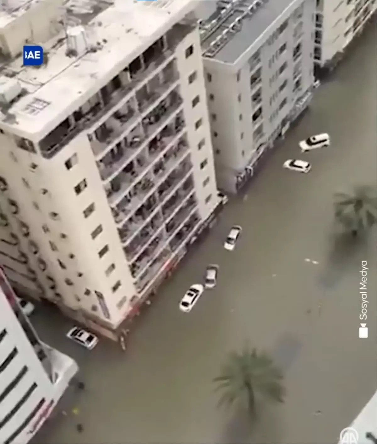 BAE'de Şiddetli Yağışlar Sel Felaketine Yol Açtı: Araçlar Sular Altında Kaldı