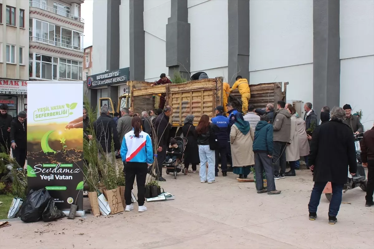 Bafra’da 23.900 Ağaç Fidanı Dağıtıldı: Yeşil Şehir İçin Büyük Katkı