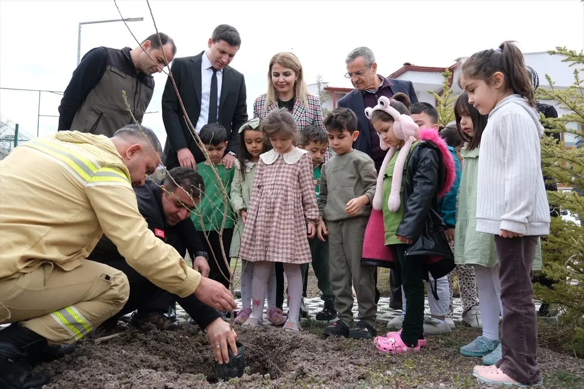 Beypazarı’nda Orman Haftası Çerçevesinde Öğrencilere Fidan Dağıtıldı