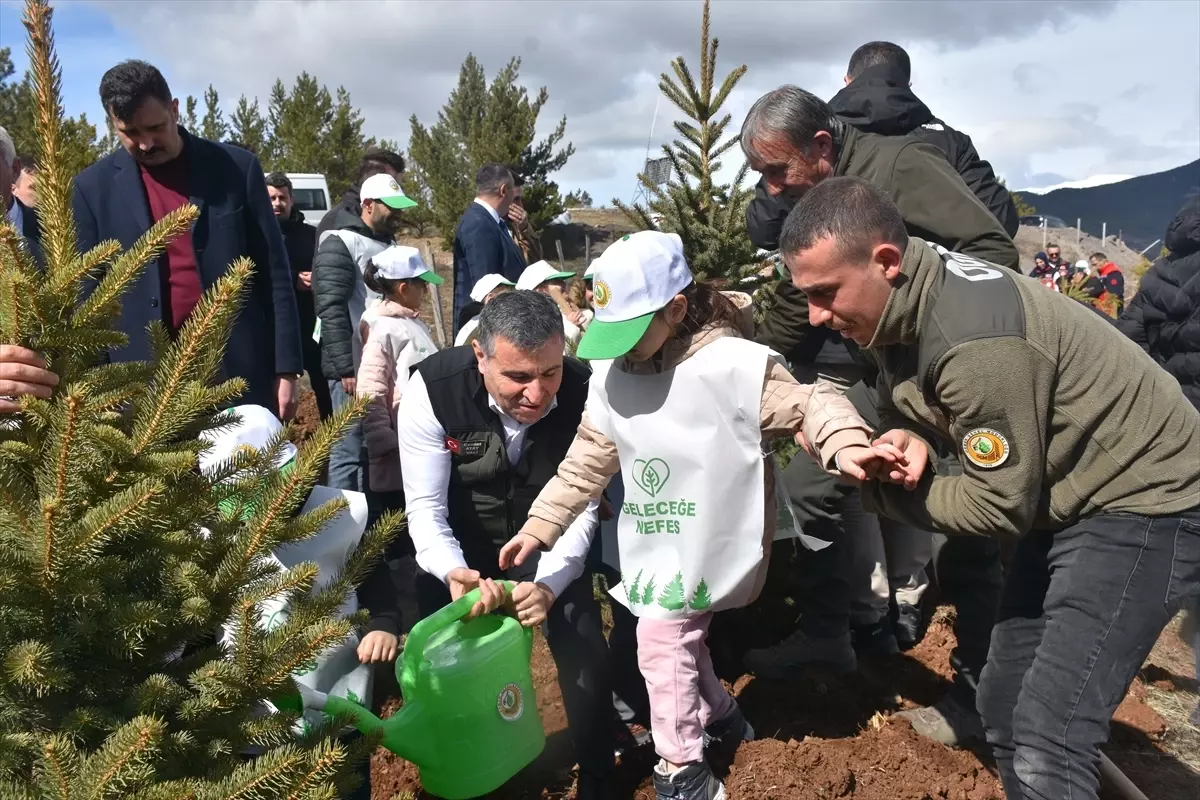 Gümüşhane Orman Haftası'nda 750 Sarıçam Fidanı Toprağa Bırakıldı