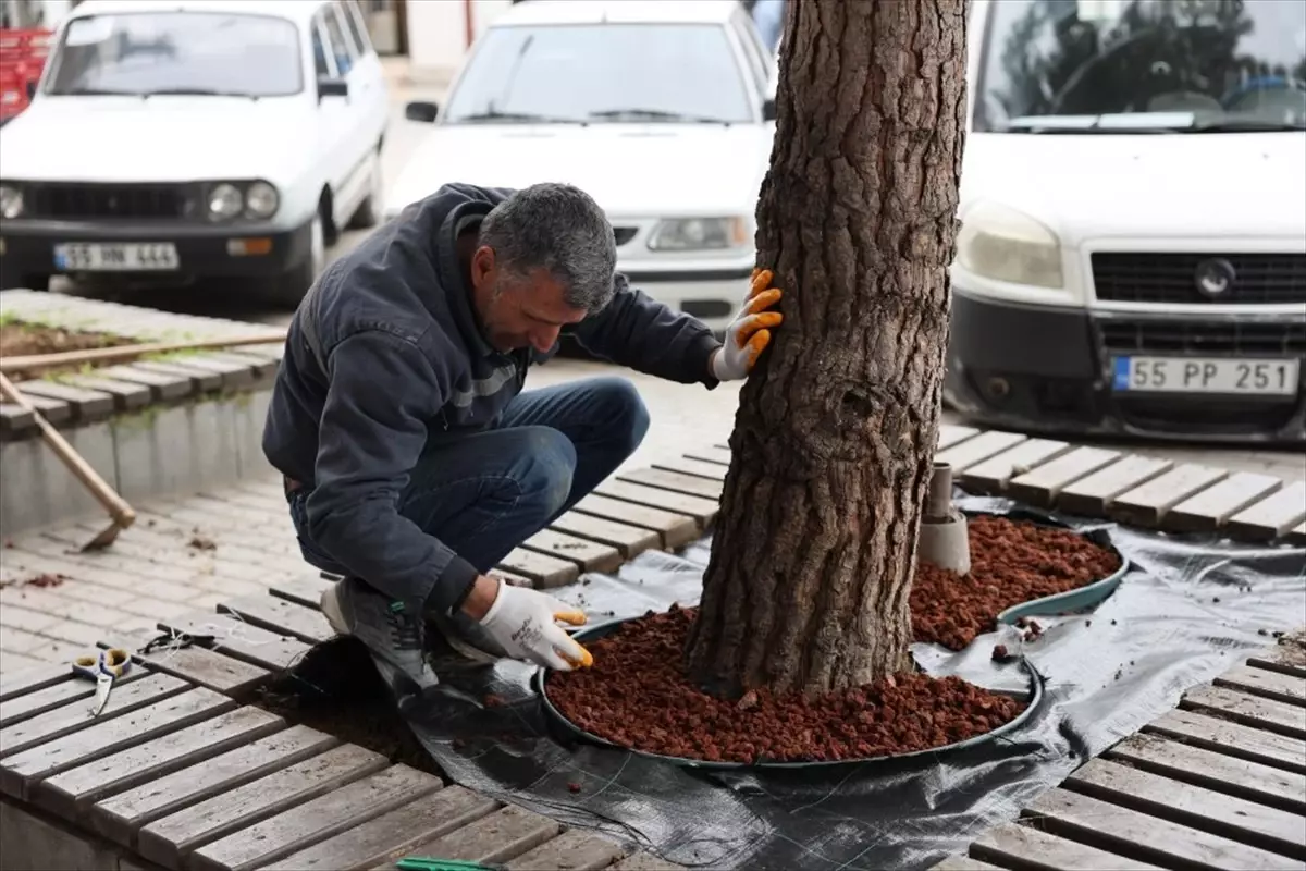 Vezirköprü Belediyesi’nden Şehir Estetiğini Yükselten Çevre Düzenleme Projeleri