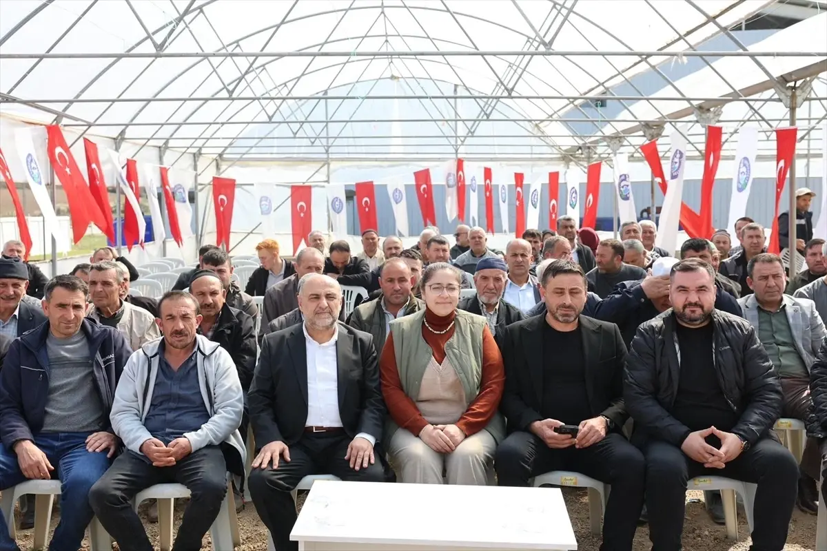 Vezirköprü’de 2 Bin Kilogram Yonca Tohumu Yerel Çiftçilere Dağıtıldı