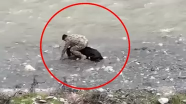 Polis memurunun buzağıyı tutarken çektiği fotoğraf