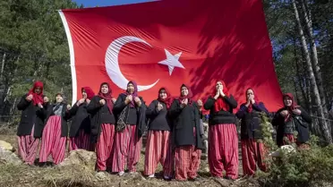 Dikilen fidanların yakın çekimi