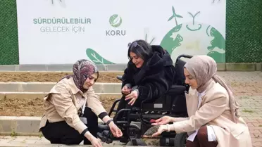 Etkinlikte ekilen tohumlar