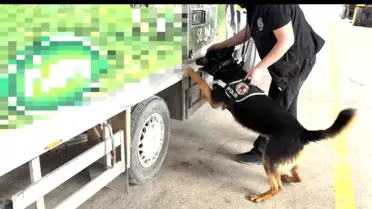 Van'ın Edremit Bölgesinde 90 Kilogram Uyuşturucu Ele Geçirildi