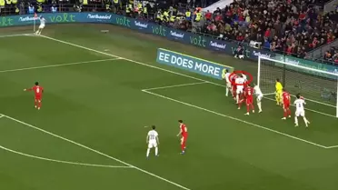 Bosna Hersek oyuncularının sevinci