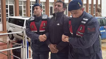 Koçarlı’da Zeytin ve İncir Ağaçlarına Yönelik Vandalizm Şoku