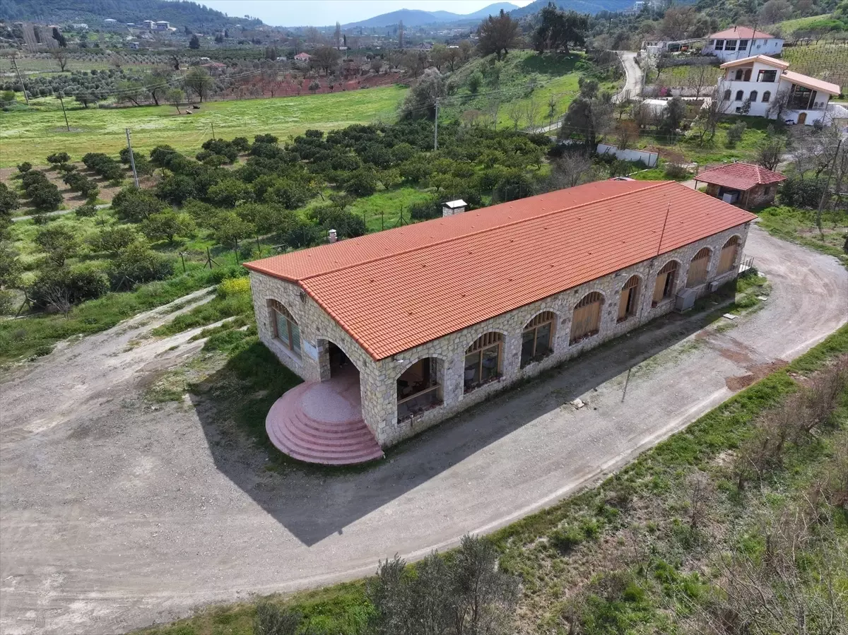 Seferihisar’da Zeytinyağı Kültürü Yeni Bir Soluk Aldı: Zeytinyağı Kütüphanesi Açıldı