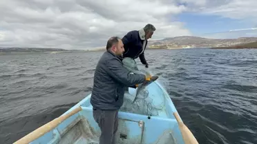 Çekerek Barajı’nın Doluluk Oranı %42,7’ye Çıktı: Geçen Yıla Göre İki Kat Artış