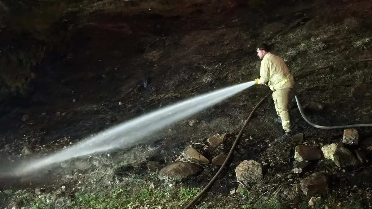 Karabük Ormanında 1 Dekarlık Çölleşme: İtfaiye Ekipleri Hızlı Müdahale Etti