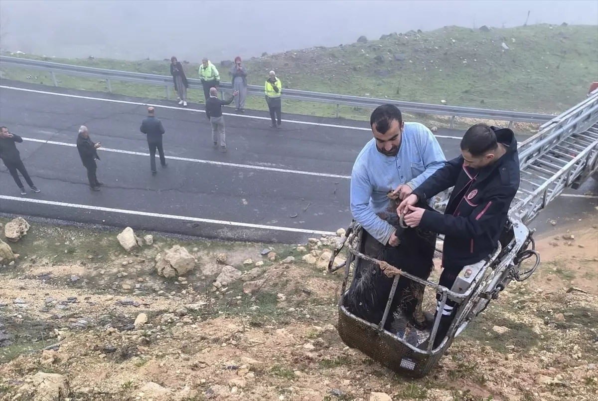 Mardin'de Çamura Düşen Keçiler İtfaiye Ekipleri Tarafından Kurtarıldı