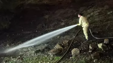 Yangının Etkilenen Bölgesi