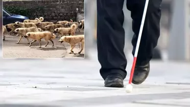 Sancaktepe’de Görme Engelli Vatandaşa Belediye Yardımcısından Sert Yanıt