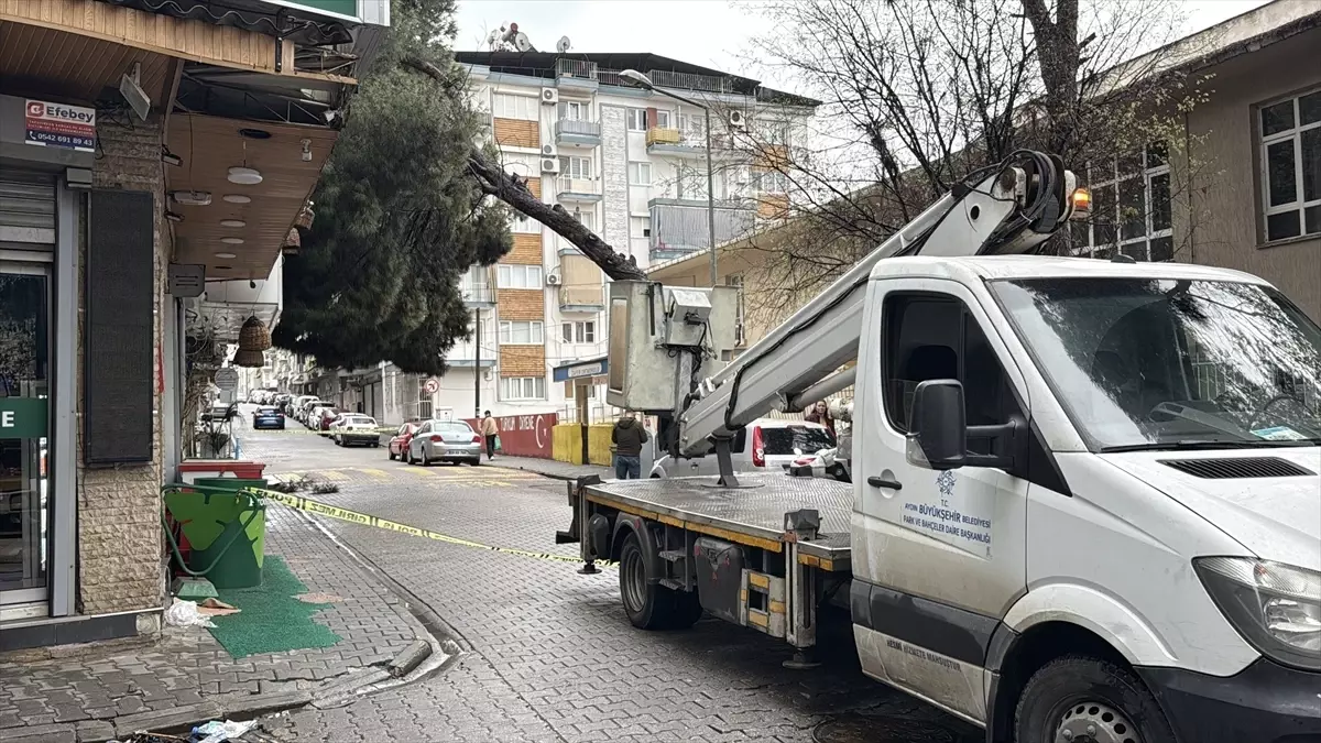 Efeler'de Rüzgâr Ağaçları Salladı, Binanın İkinci Katında Hasar Oluştu